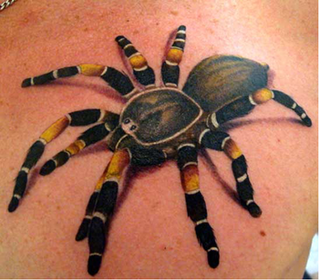tattoos/ - Realistic Spider Tattoo - 49325